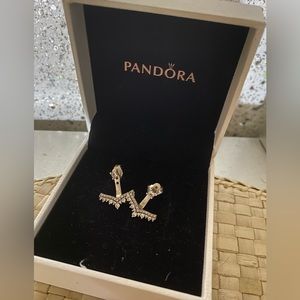 Pandora earrings